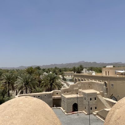 Palm Trees and Adobe Buildings Africa & Arabia