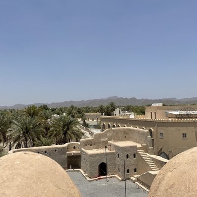 Palm Trees and Adobe Buildings Africa & Arabia
