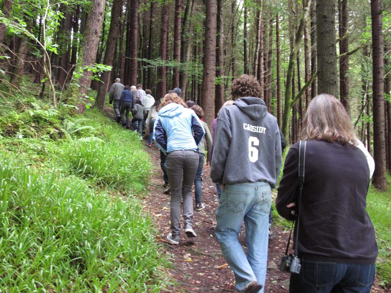 Walking through Dooney Forest gave us a sense of why Yeats found Sligo such a fascinating muse.