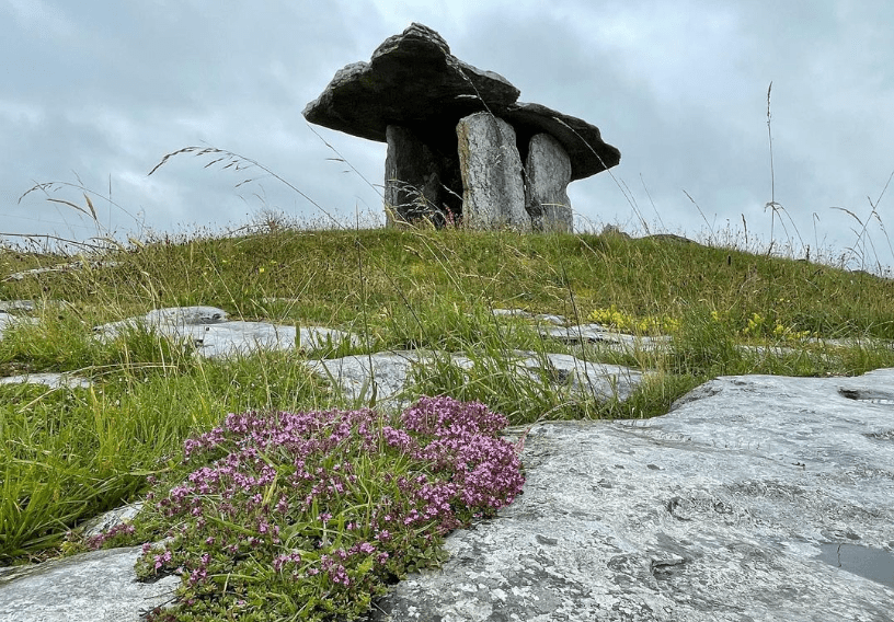 Poulnabrone Megalithic Tomb. The Burren, Co Clare