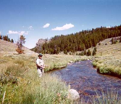 Photo of Robert Bonner