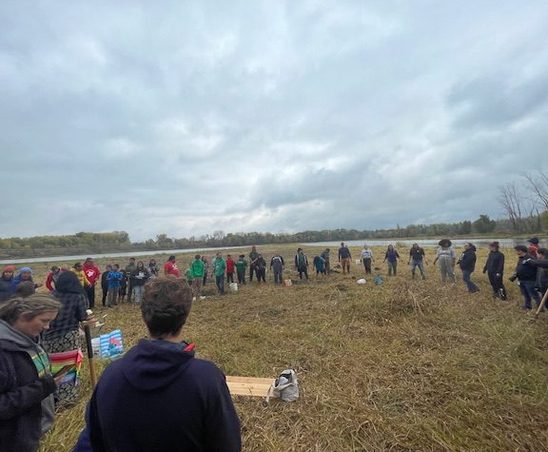 RELG 289 Global Religions in MN outing to Prairie Island Dakota Nation's Traditional Psincinca (Rat Potato) Harvest Oct 2023