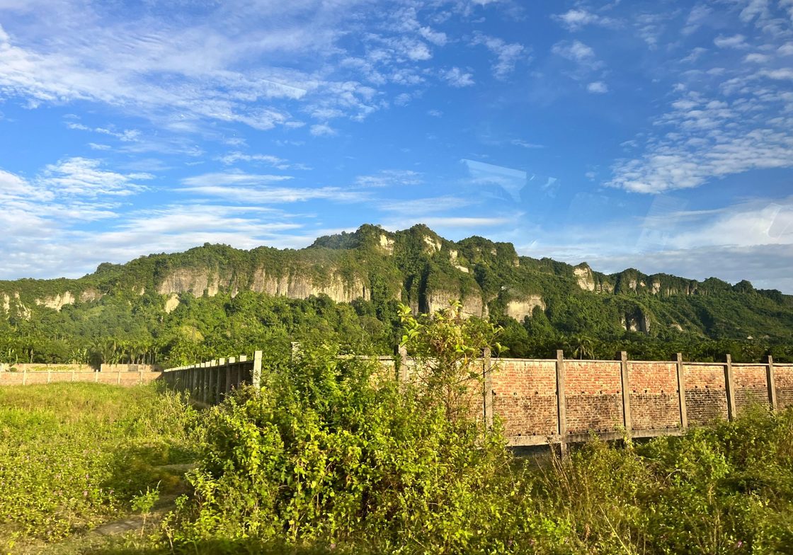 green landscape