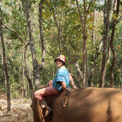 person riding an elephant