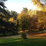 Autumn in Madrid at Parque del Oeste