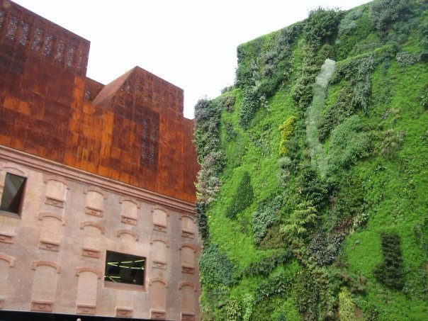Moss-Covered Building Madrid