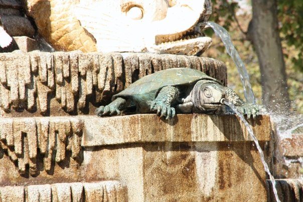 Turtle Fountain in Madrid