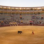 La Tauromaquia - Bull Fight