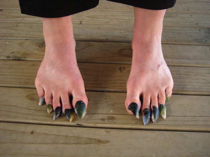 Shell toenails--Winter 2013