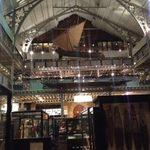 An anthropological museum that blew our minds.