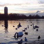 Sunset at Hyde Park