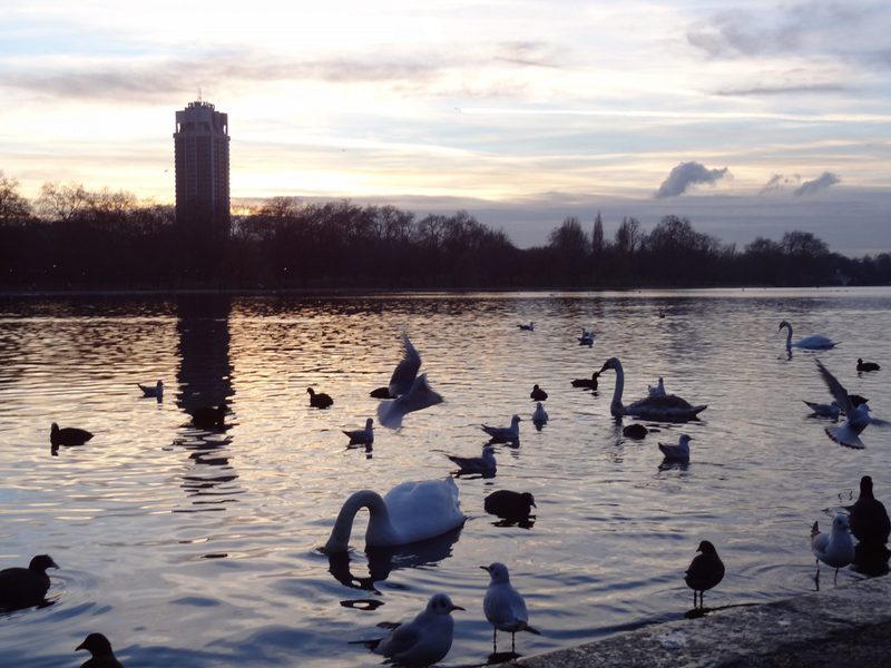 Sunset at Hyde Park