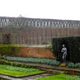 Gardens at Hampton Court Palace