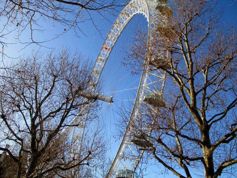 Program trip to the London Eye