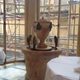 The Pump at the Bath Pump Room