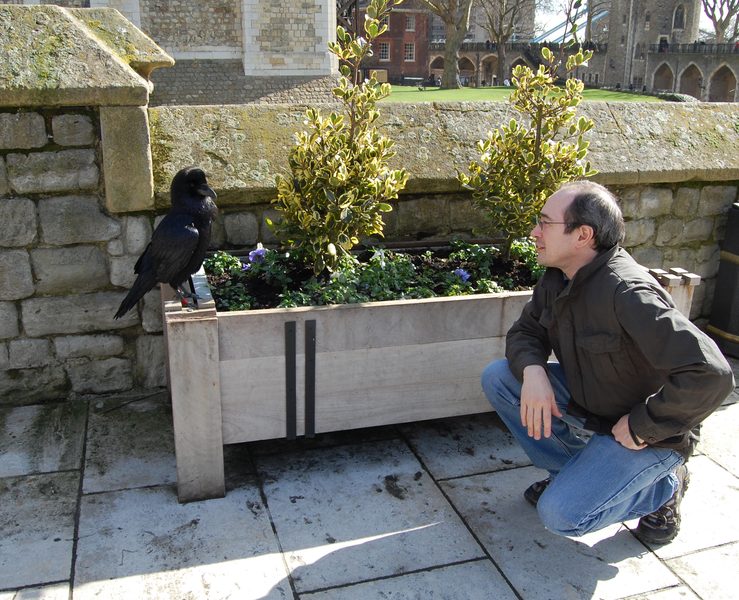 Pierre and Raven
