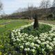 The sun emerges at Hyde park gardens.