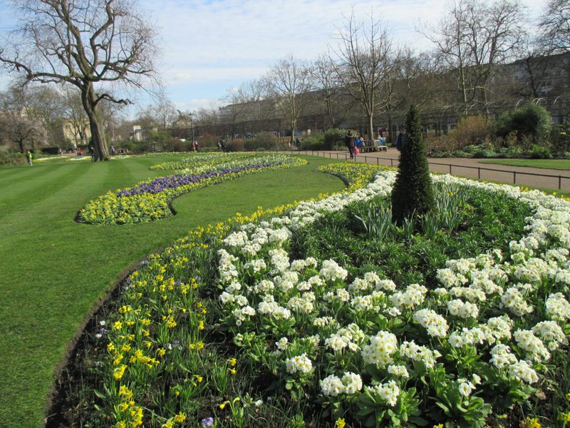 The sun emerges at Hyde park gardens.