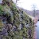 Hiking - A mossy wall