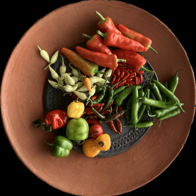 Food of Oaxaca