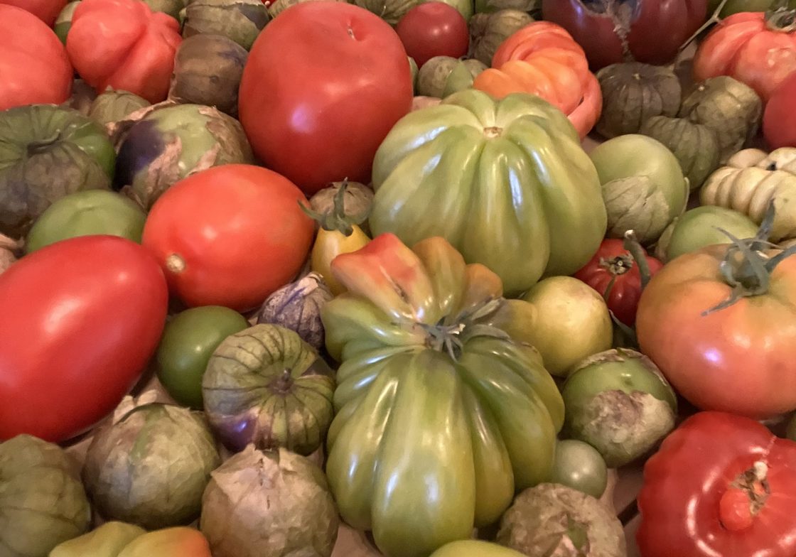 Food of Oaxaca