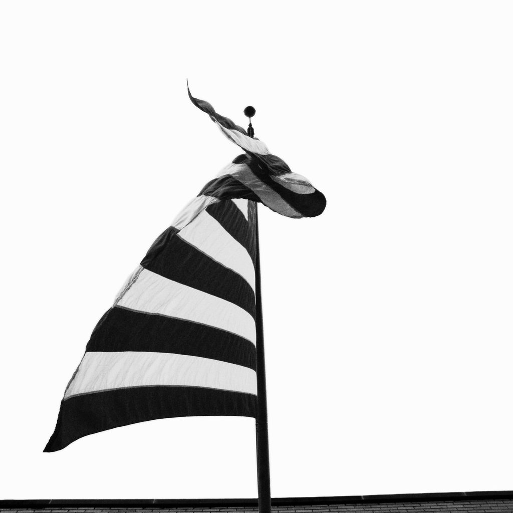 Flags: Amadeo Lasansky ‘97