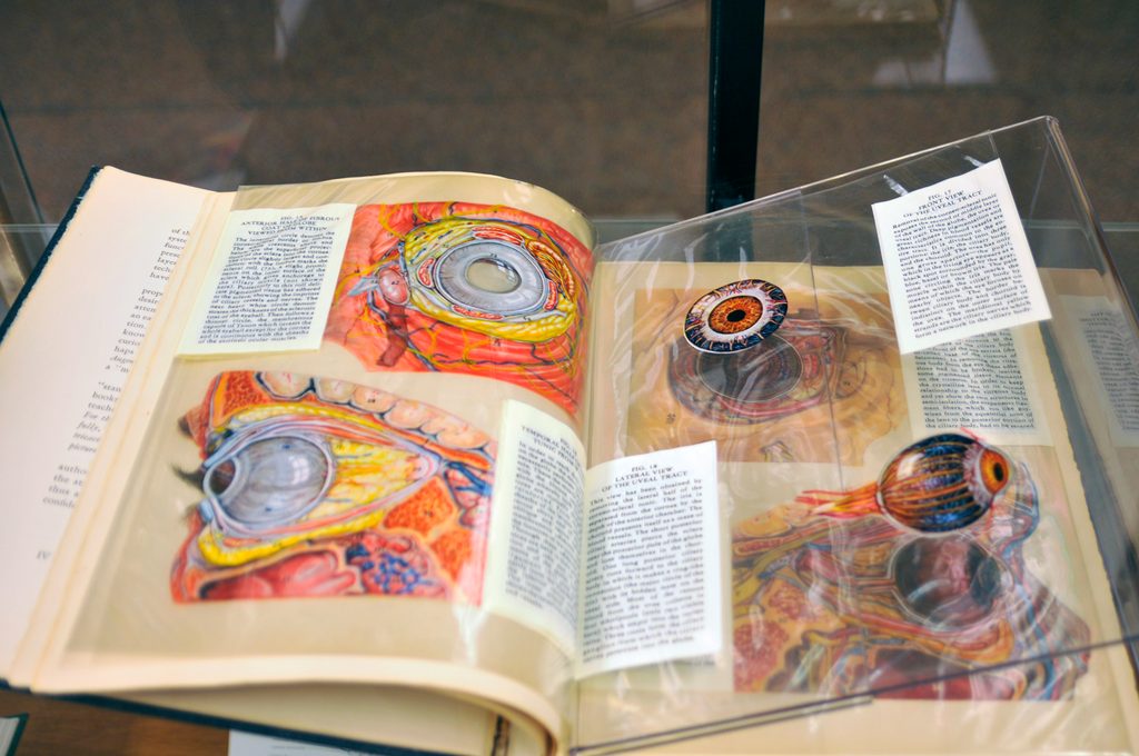 Sliced Exhibit Photo; Gould Library