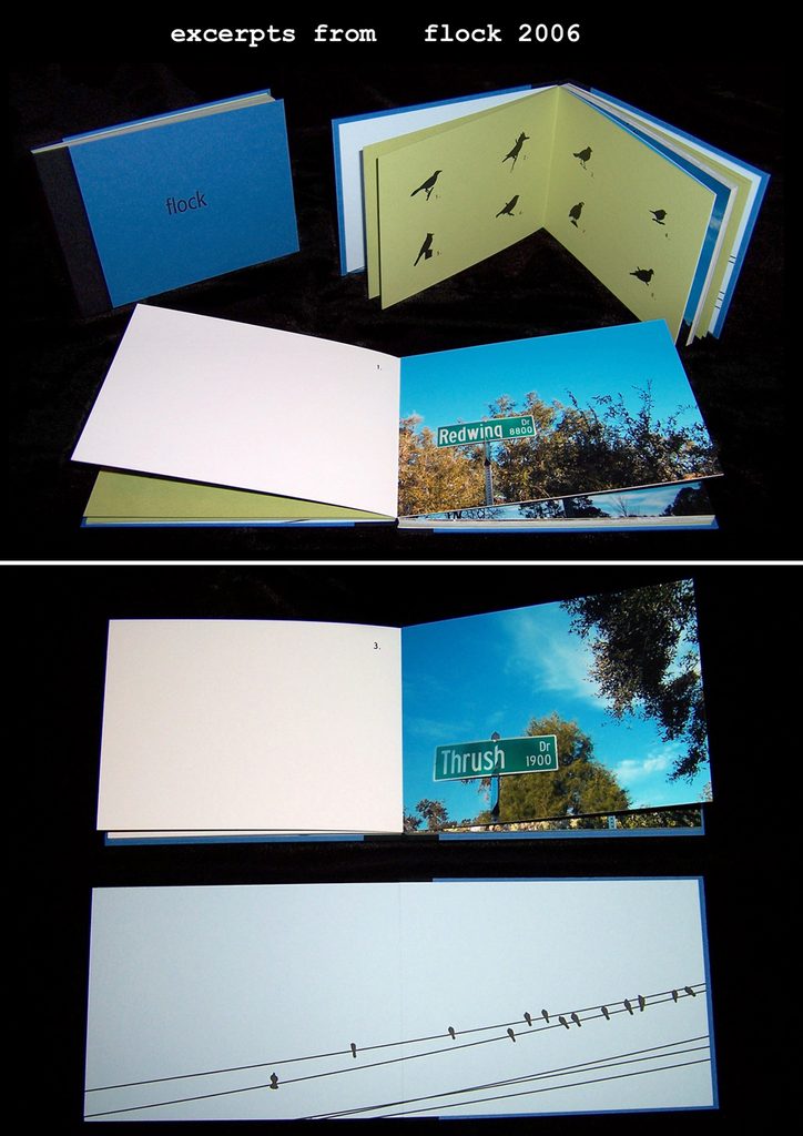 An excerpt from Paula McCartney's book "Flock"