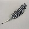Writing with Quills!
