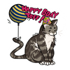 Toff's Birthday Party!
