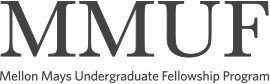 Mellon Mays Undergraduate Fellowship