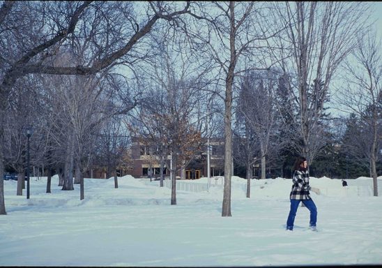A person walking in the snow.