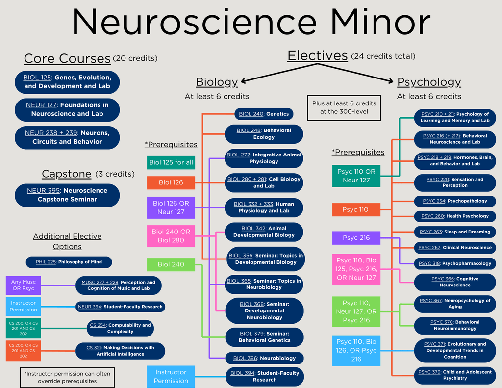 Pathway to the Neuroscience Minor