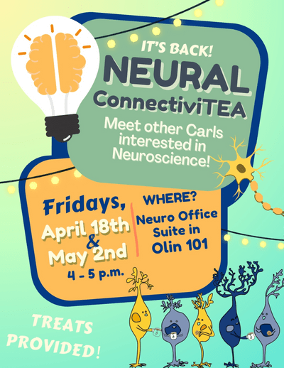 Neural ConnectiviTEA flyer