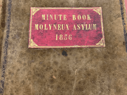 image of the minute book from Molyniex Asylum 1856