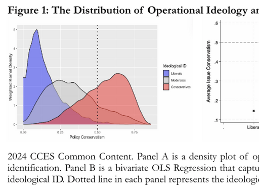 2024 CCES Common Content