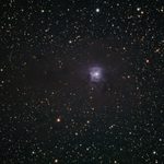 NGC 7023: Iris Nebula (3.7 hours)