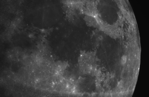 Moon-GF-Spring2010