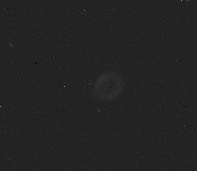 RingNebula-GF-Spring2010