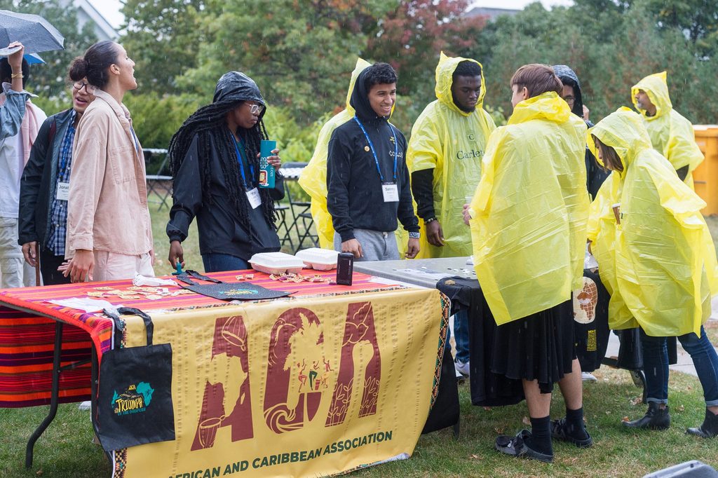 Cultural Org Fair