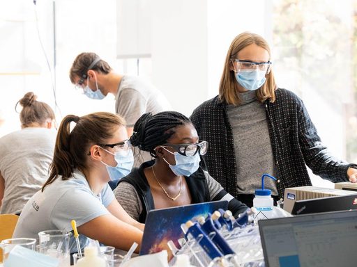 Photo of four students conducting an experiment in a lab.