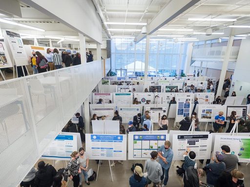Aerial photo of student poster session in the Weitz Center.