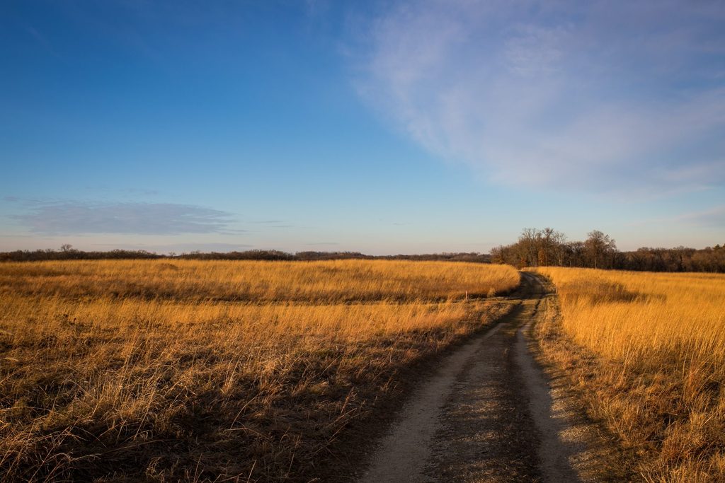 a path through a prairie field