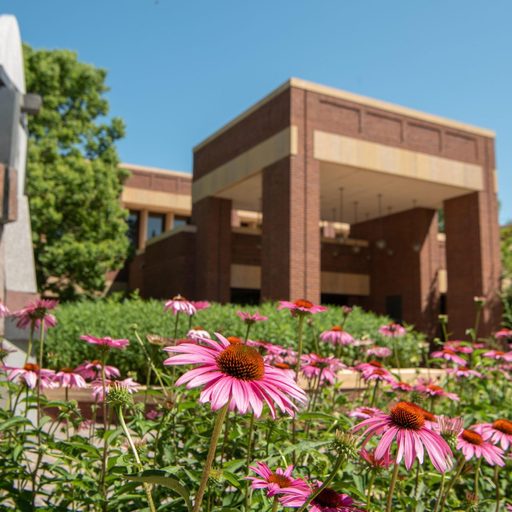 flowers blooming outside Gould library