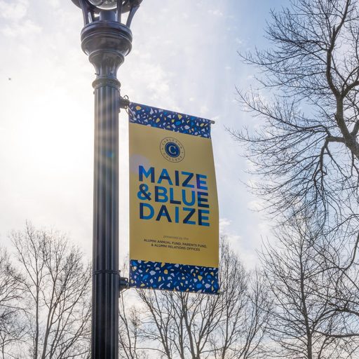 Maize & Blue Daize pole banner