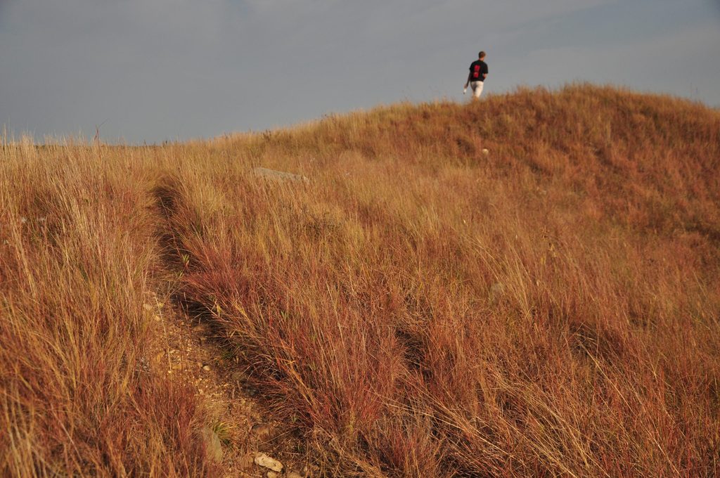 Fall at McKnight Prairie