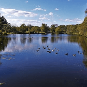 Fish, waterbirds, and anglers all find a home at Lyman Lakes.