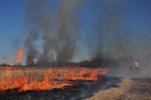 Controlled Burn