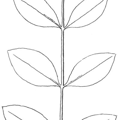 Opposite leafing example