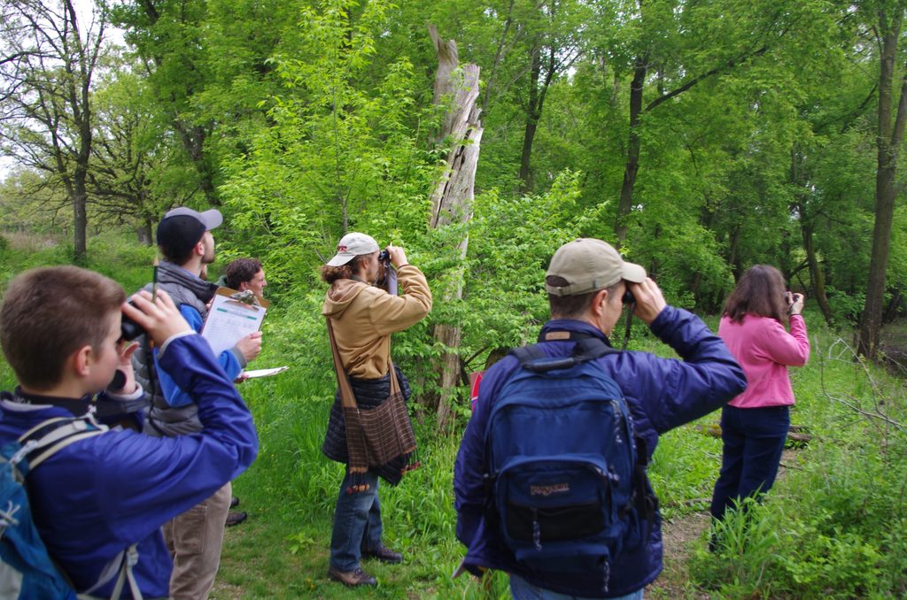 Birders with their binoculars at work.